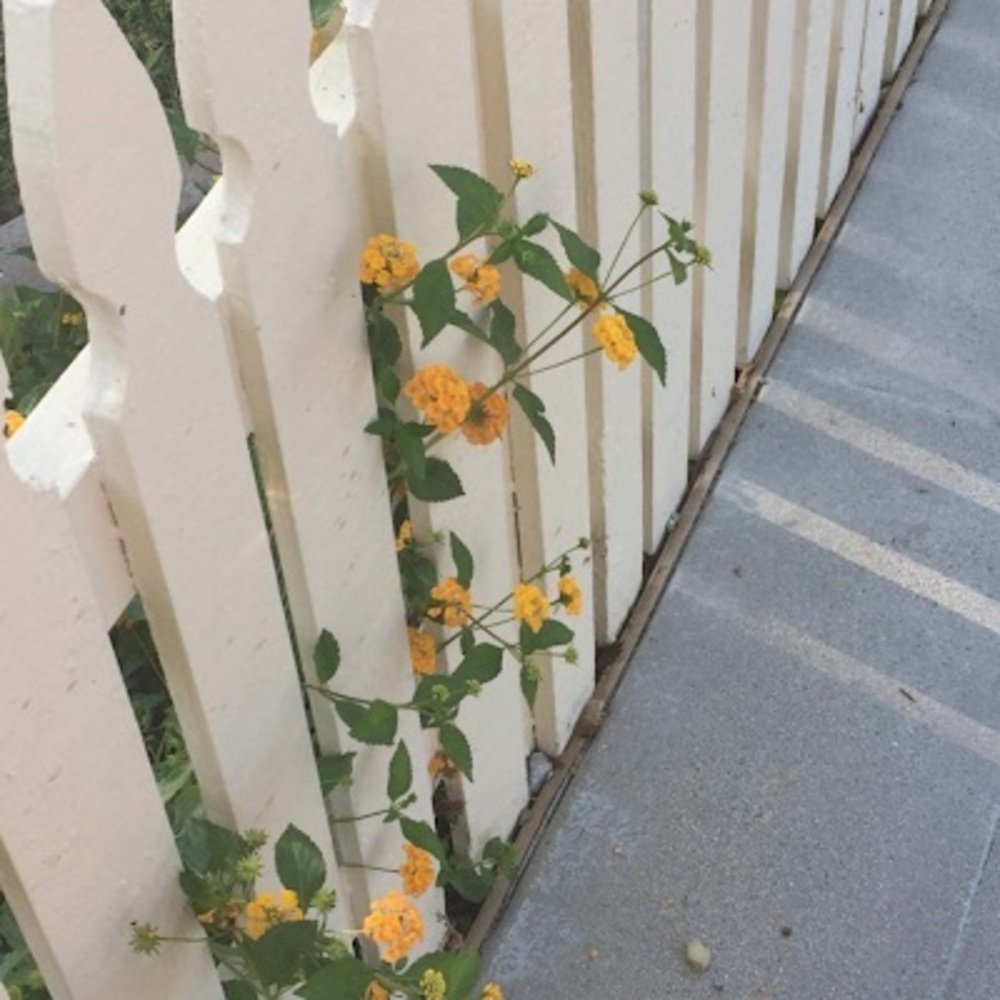 Meet your Posher, Kiara